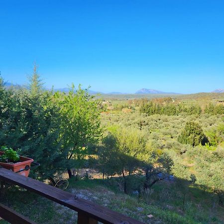 Panoramic House Βίλα Oliena Εξωτερικό φωτογραφία
