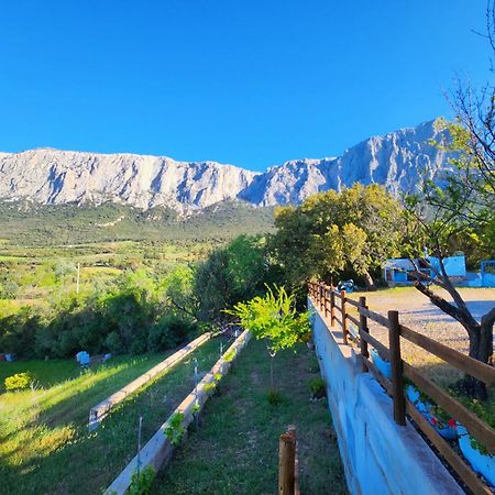 Panoramic House Βίλα Oliena Εξωτερικό φωτογραφία