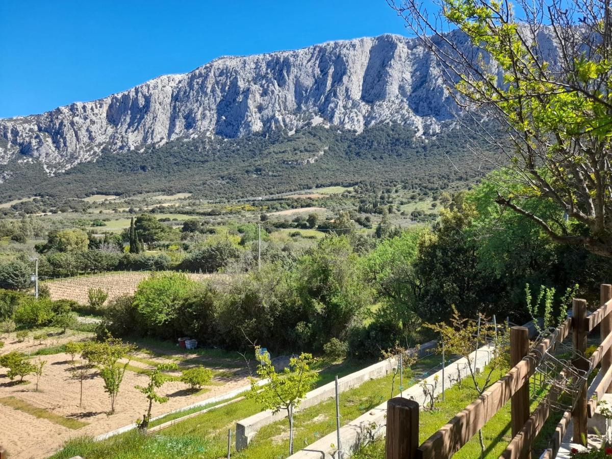 Panoramic House Βίλα Oliena Εξωτερικό φωτογραφία