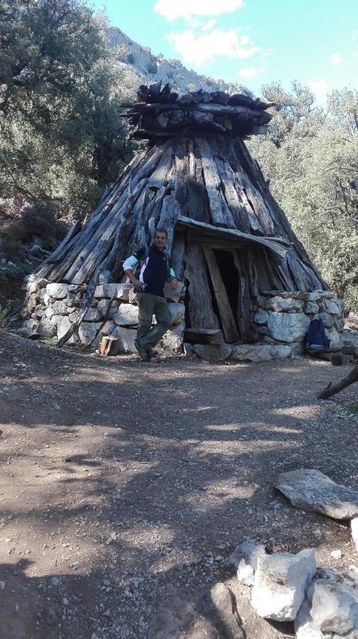 Panoramic House Βίλα Oliena Εξωτερικό φωτογραφία