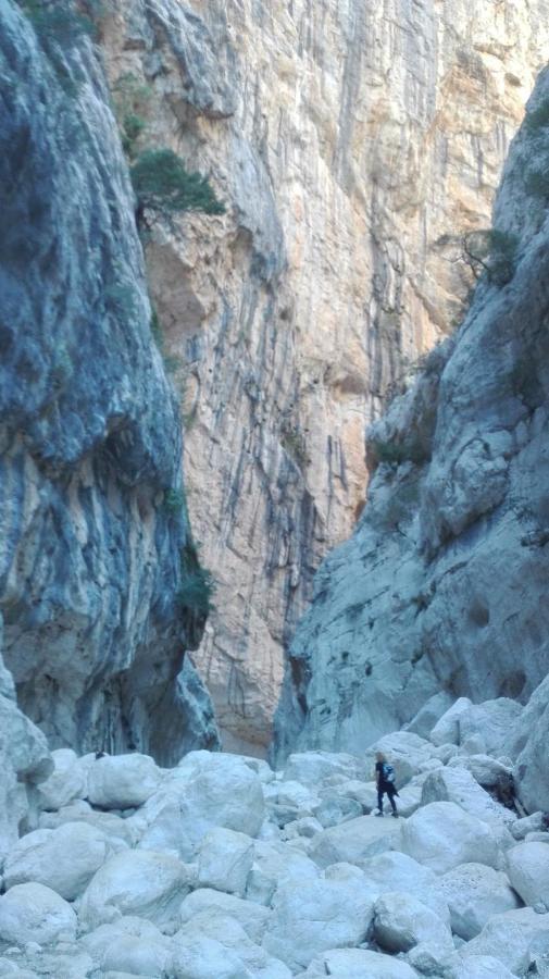 Panoramic House Βίλα Oliena Εξωτερικό φωτογραφία