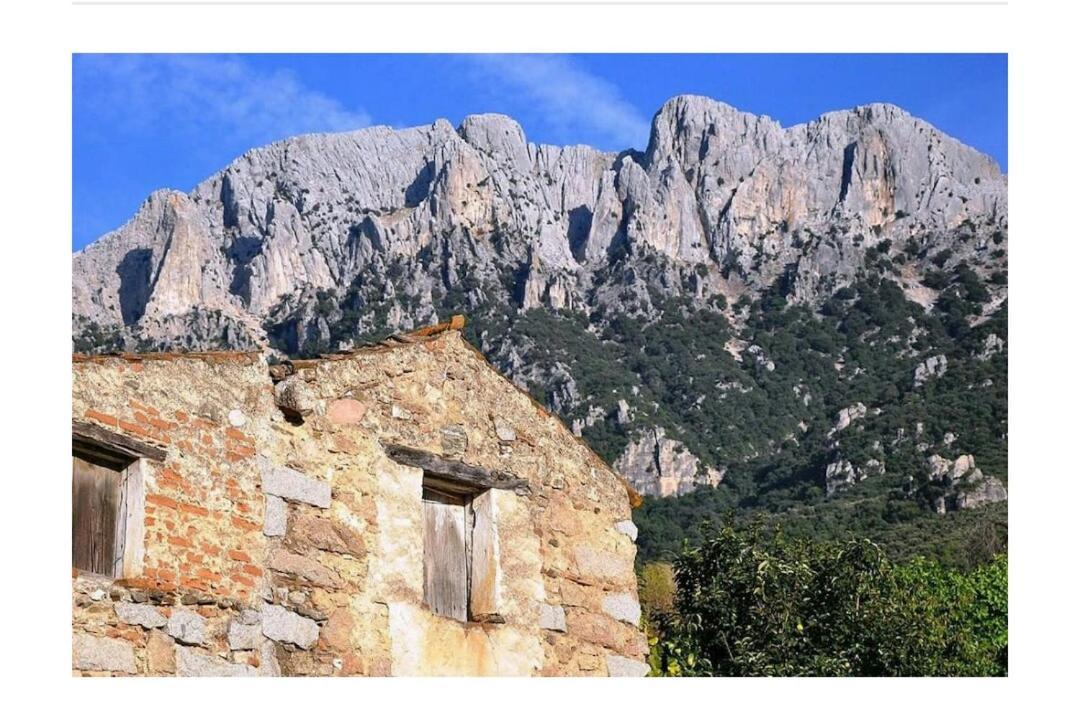 Panoramic House Βίλα Oliena Εξωτερικό φωτογραφία