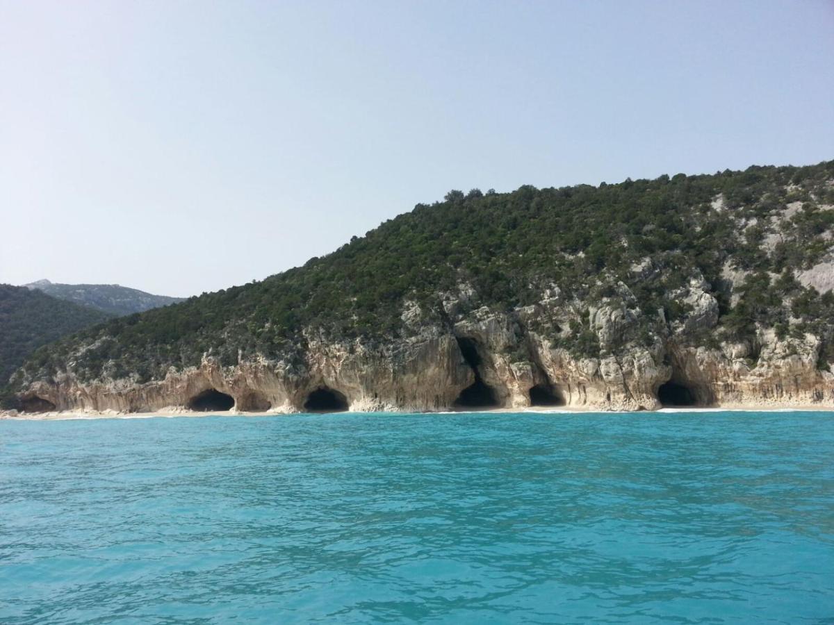 Panoramic House Βίλα Oliena Εξωτερικό φωτογραφία