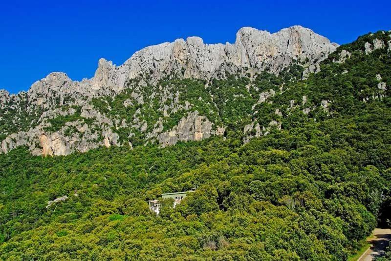 Panoramic House Βίλα Oliena Εξωτερικό φωτογραφία