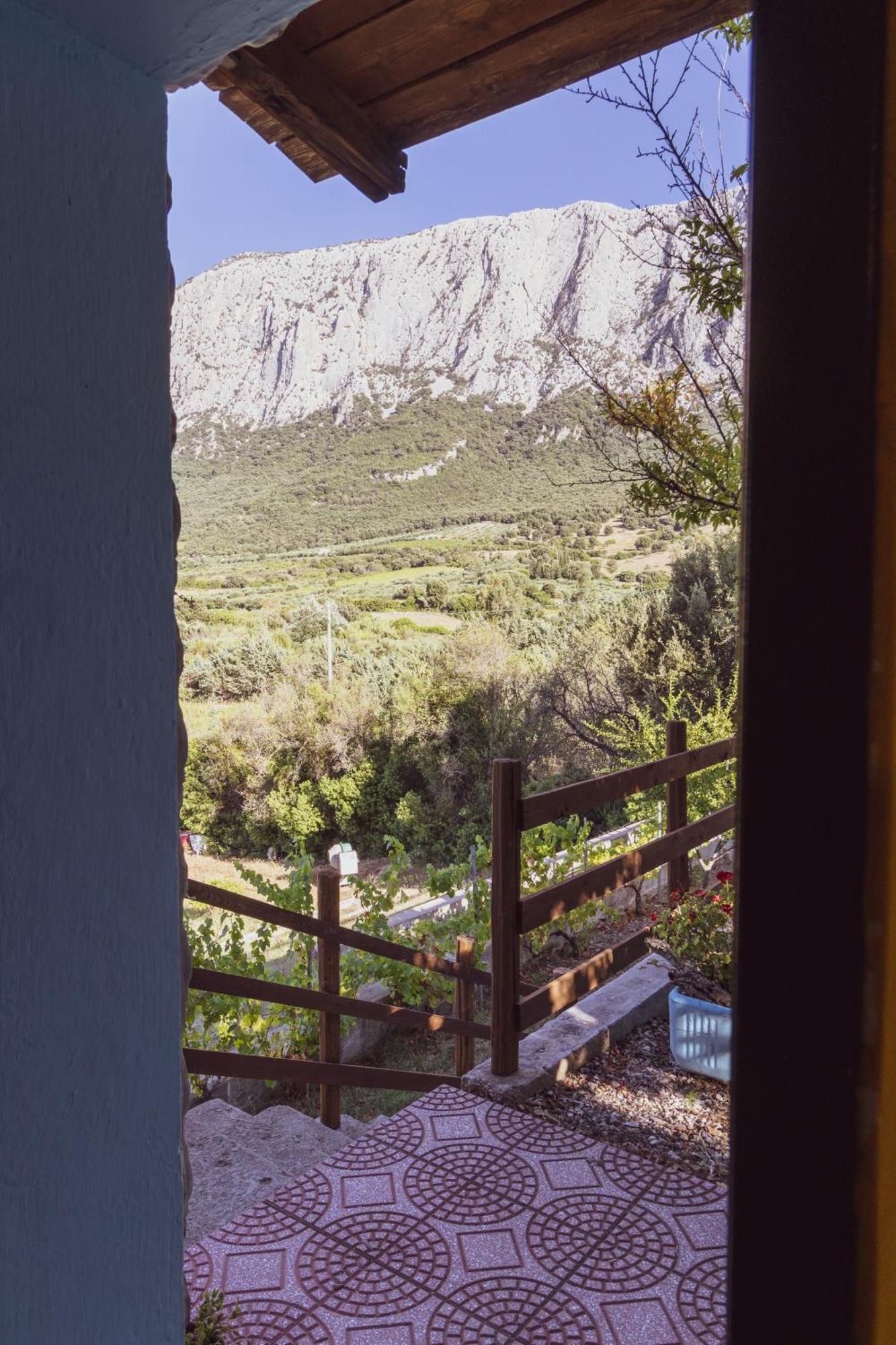 Panoramic House Βίλα Oliena Εξωτερικό φωτογραφία