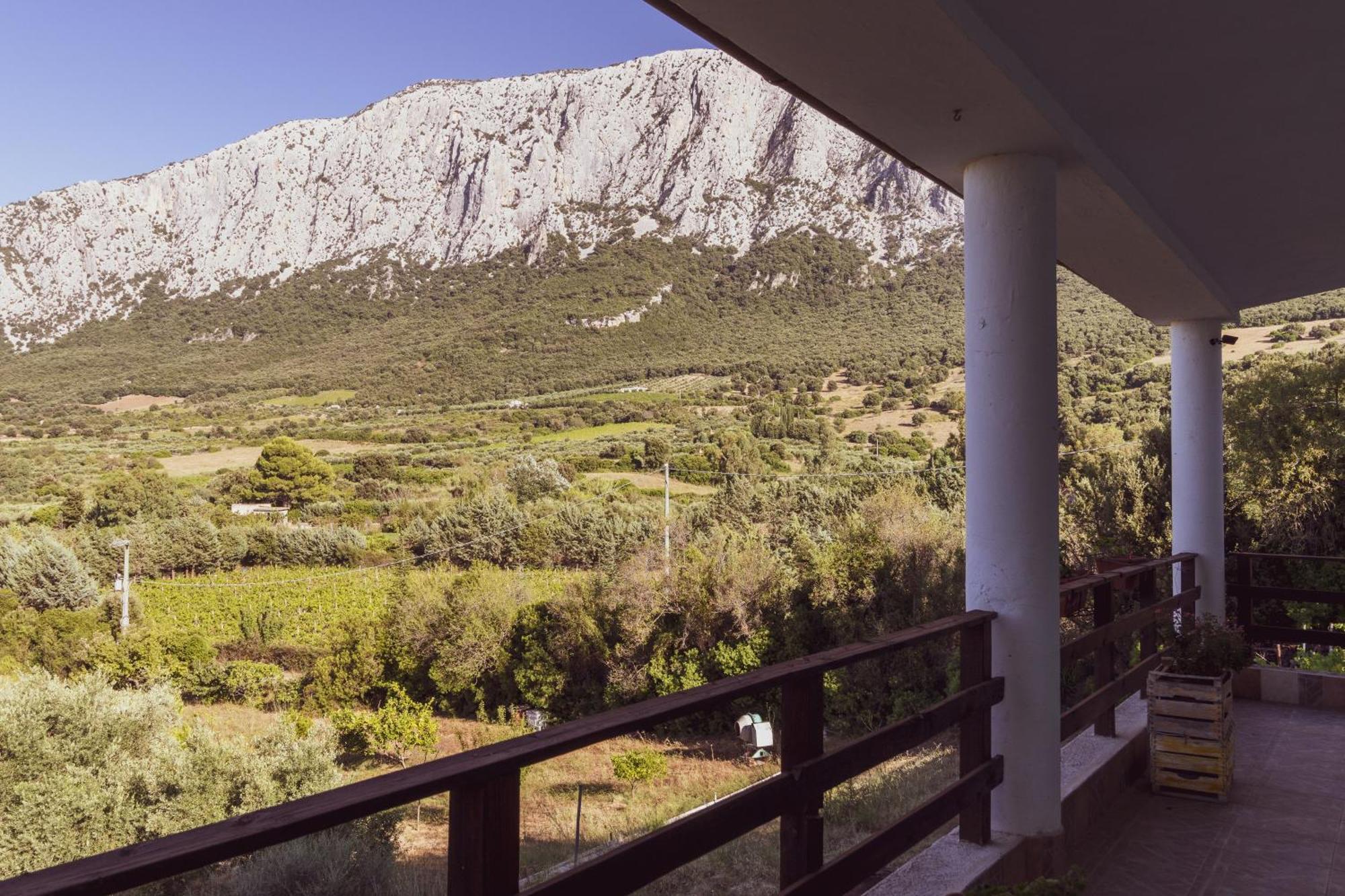 Panoramic House Βίλα Oliena Εξωτερικό φωτογραφία