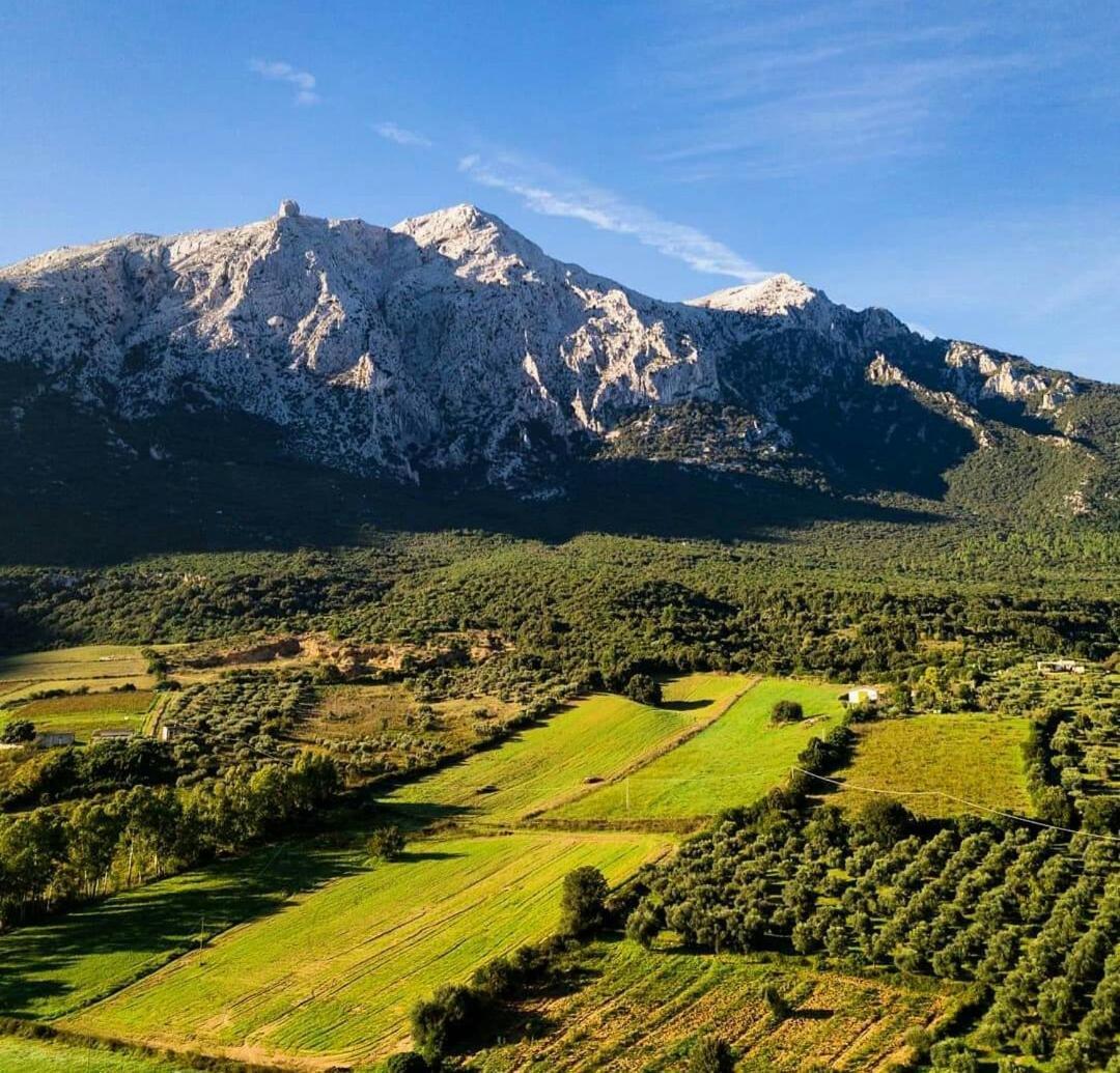 Panoramic House Βίλα Oliena Εξωτερικό φωτογραφία