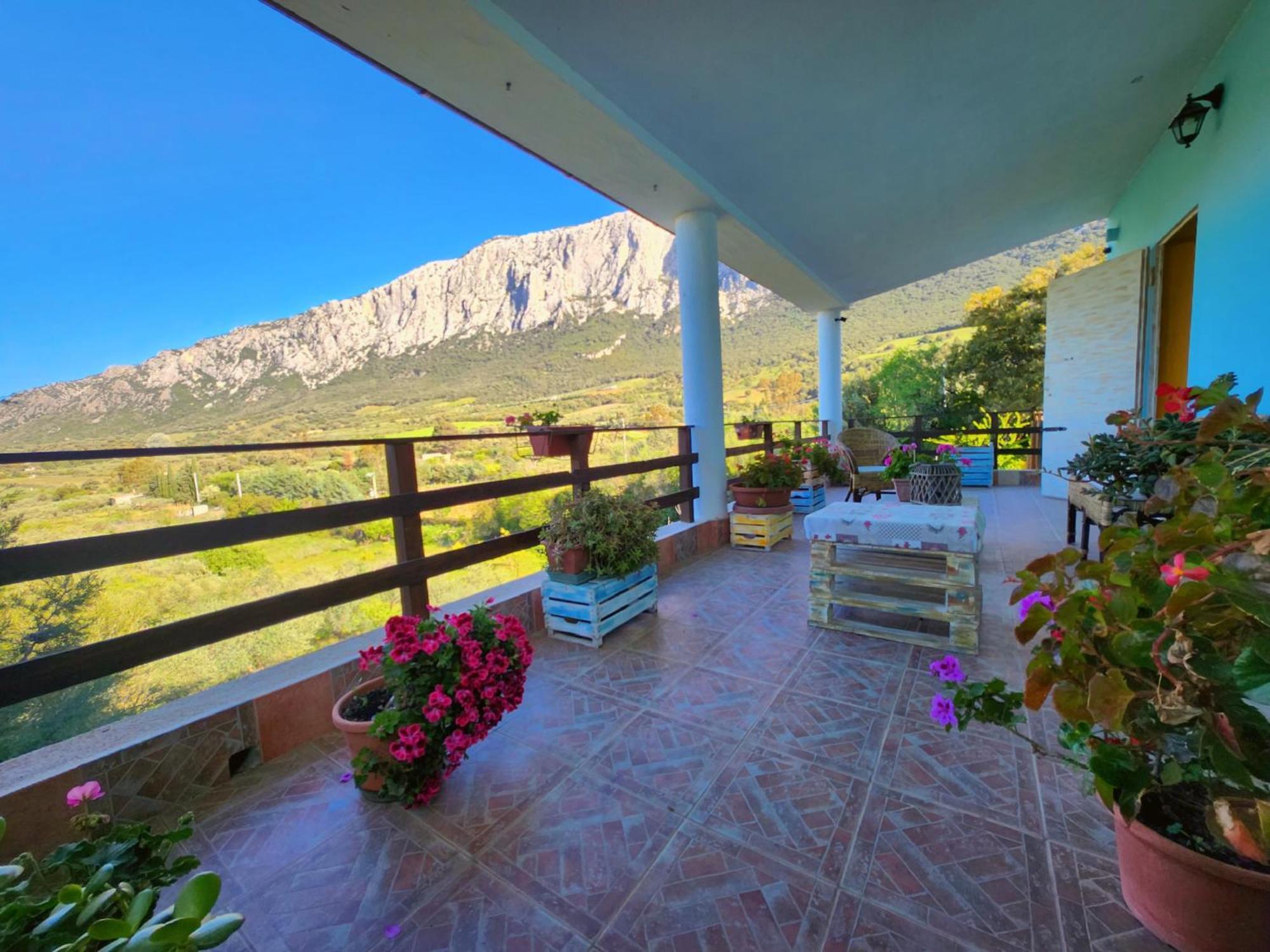 Panoramic House Βίλα Oliena Εξωτερικό φωτογραφία