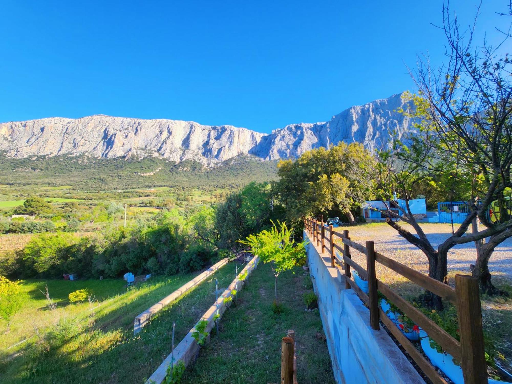 Panoramic House Βίλα Oliena Εξωτερικό φωτογραφία