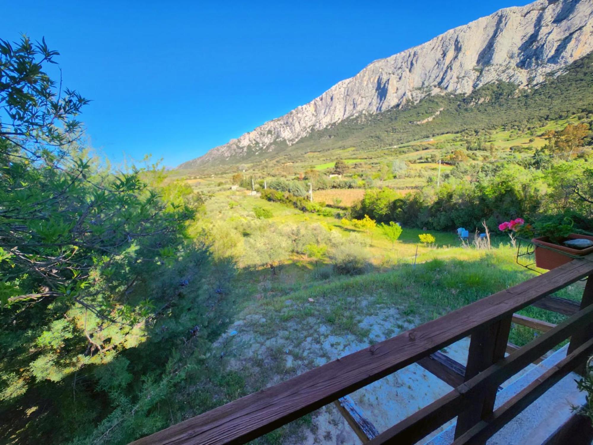Panoramic House Βίλα Oliena Εξωτερικό φωτογραφία