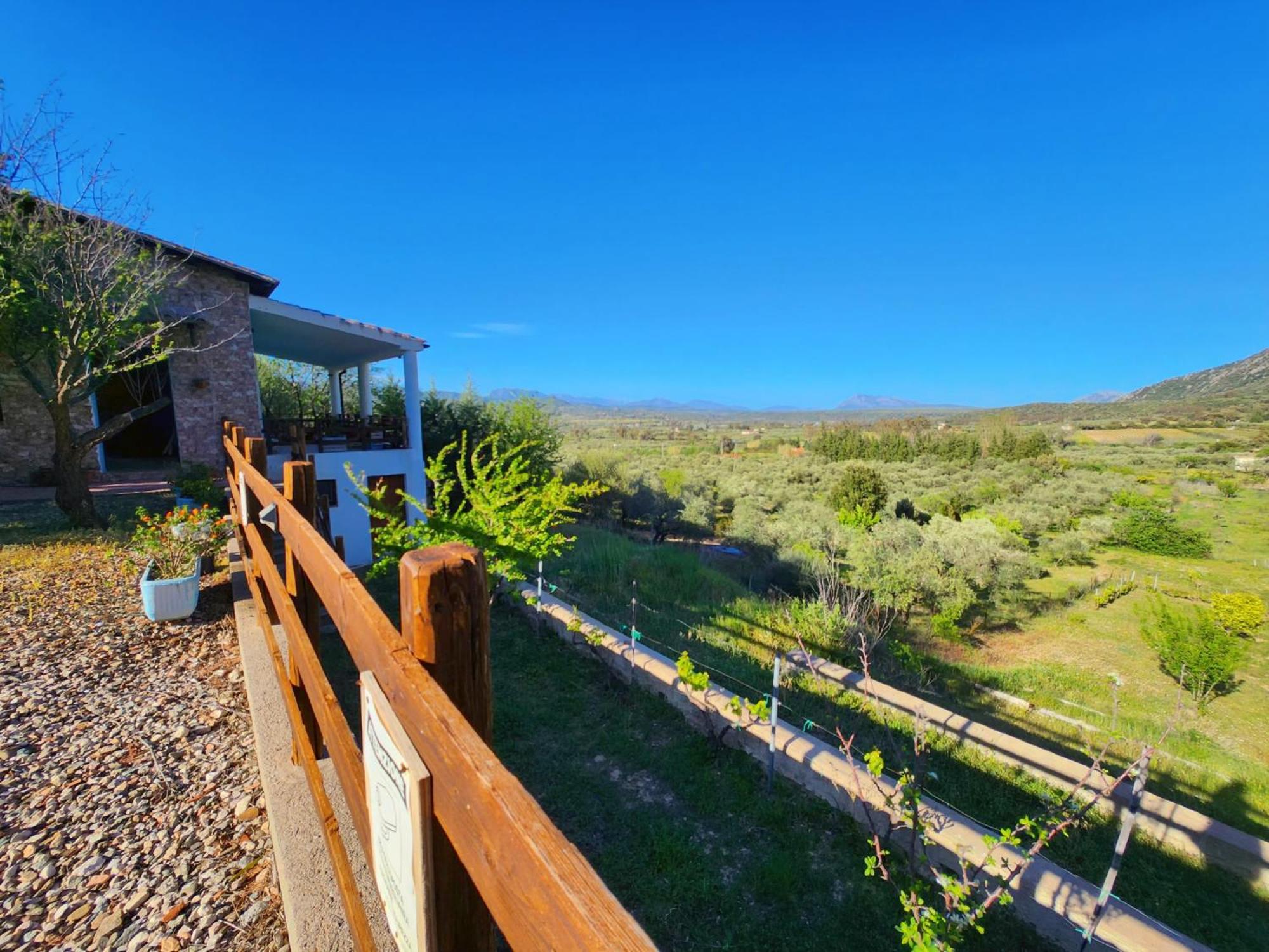 Panoramic House Βίλα Oliena Εξωτερικό φωτογραφία