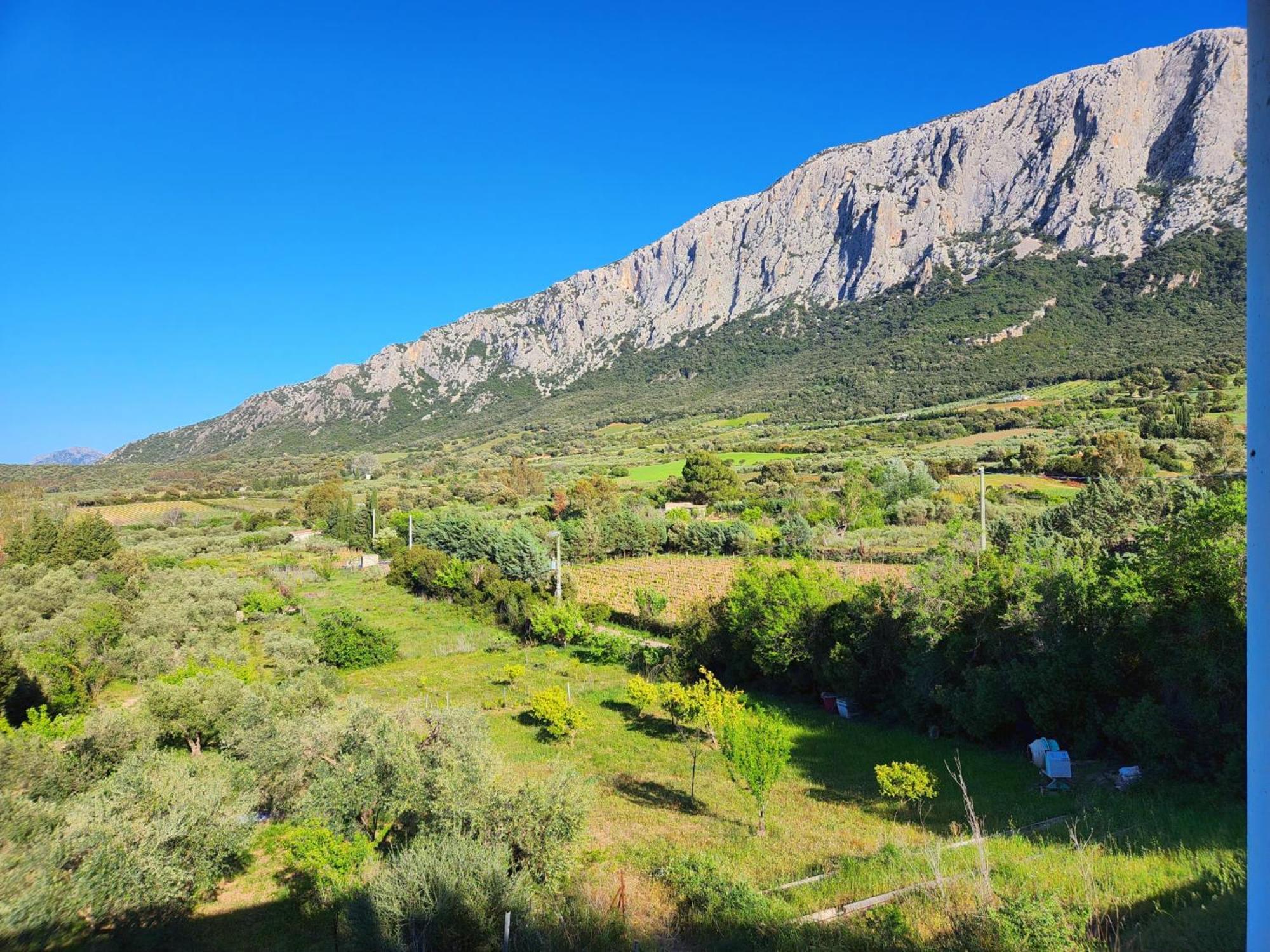 Panoramic House Βίλα Oliena Εξωτερικό φωτογραφία