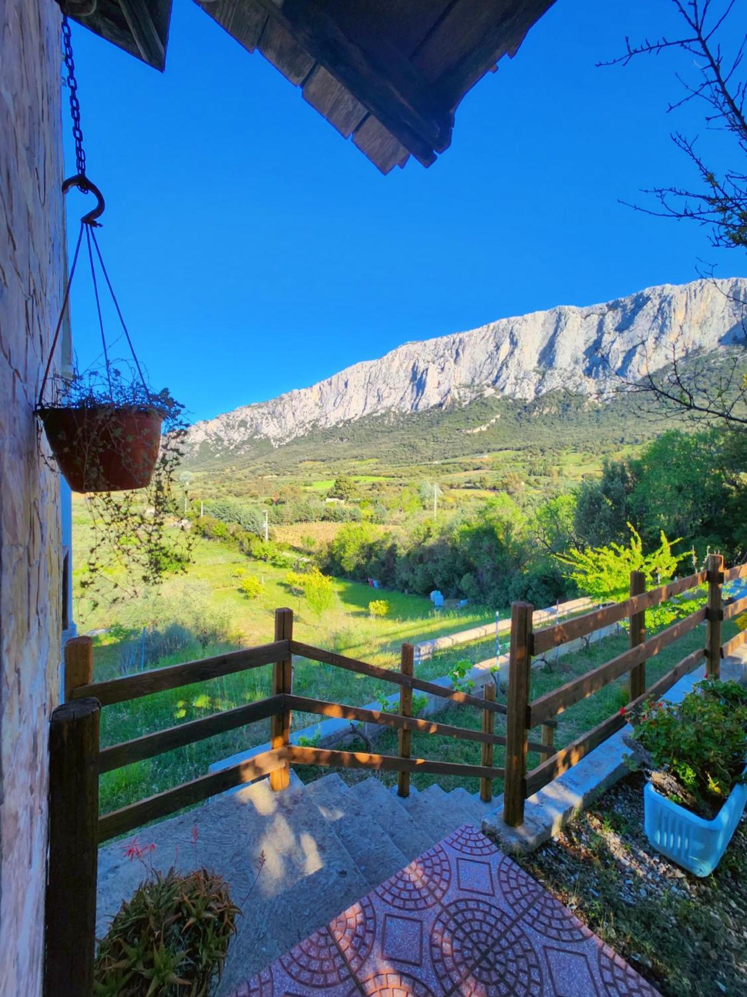 Panoramic House Βίλα Oliena Εξωτερικό φωτογραφία
