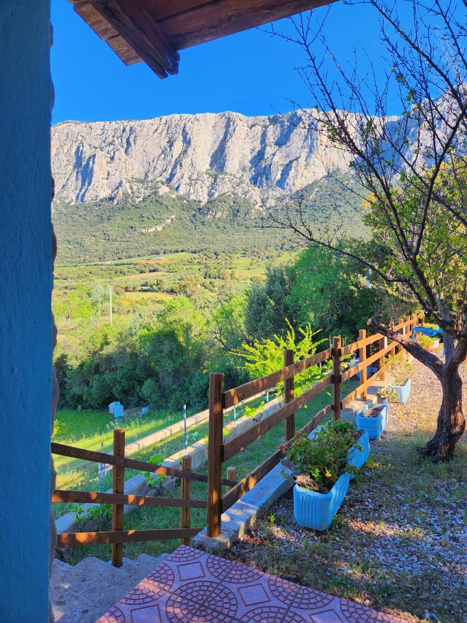 Panoramic House Βίλα Oliena Εξωτερικό φωτογραφία