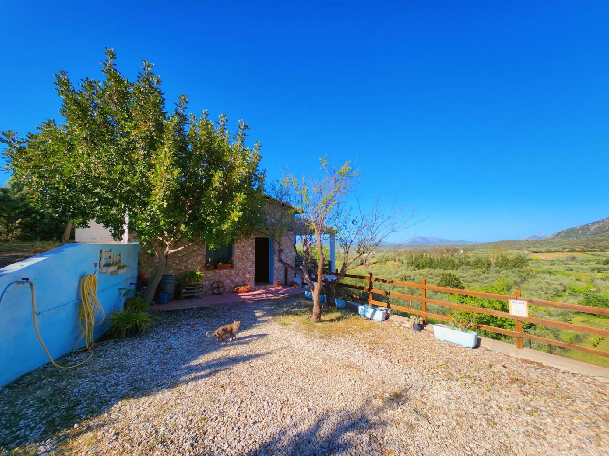 Panoramic House Βίλα Oliena Εξωτερικό φωτογραφία