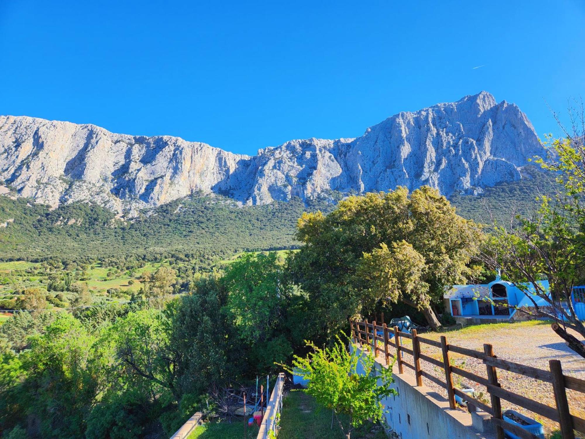 Panoramic House Βίλα Oliena Εξωτερικό φωτογραφία